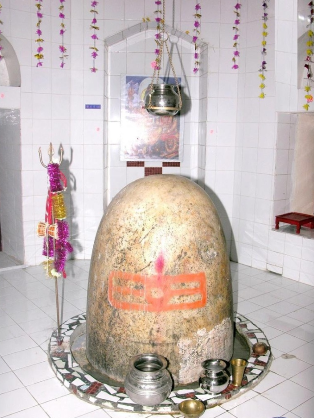 Mahashivratri महाशिवरात्रि में भूलकर भी ना इस्तेमाल करें इन फूलों को । कहीं आप गलती तो नहीं कर रहे पूजा में ?