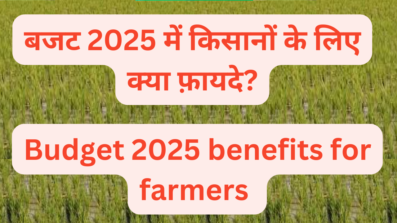 budget 2025 farm